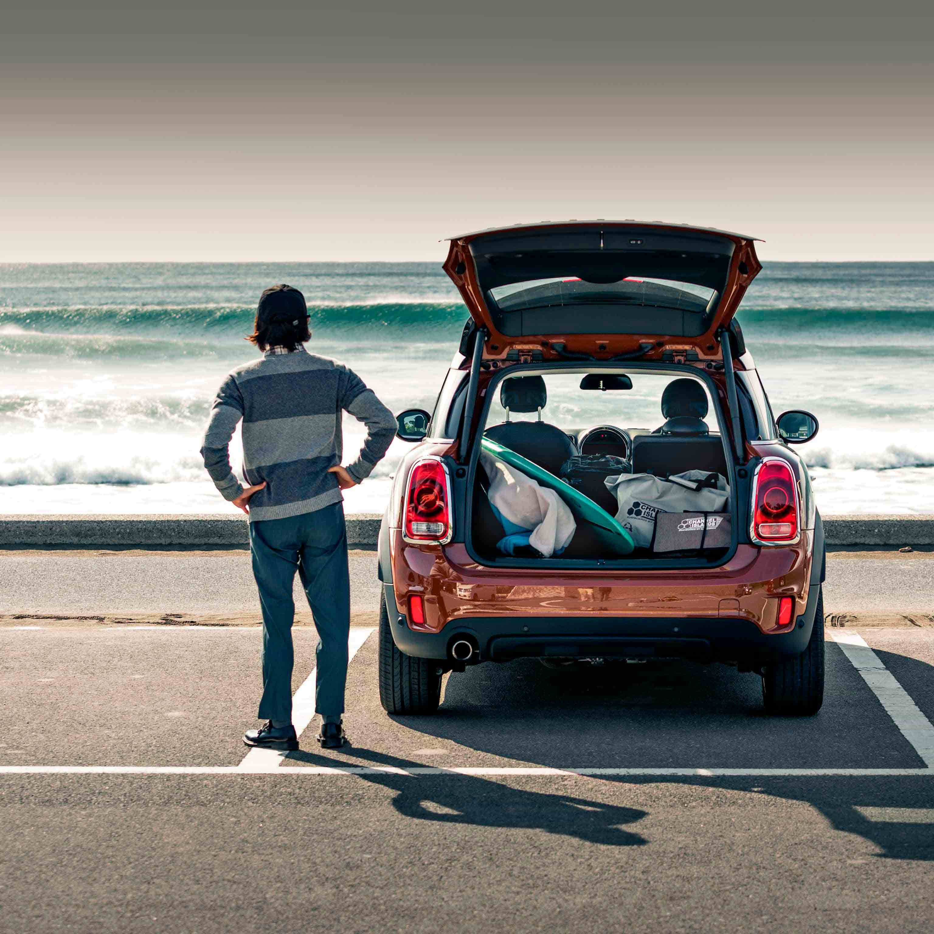 MINI TELESERVICES – MINI SERVICE MINI TELESERVICES – MINI SERVICE